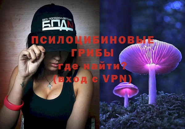альфа пвп Пролетарск