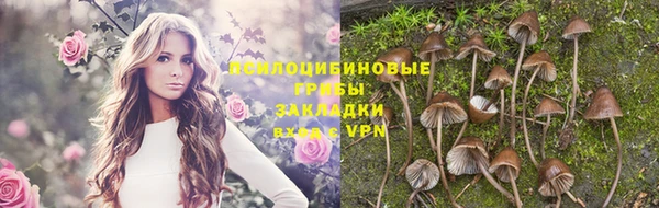 ECSTASY Беломорск