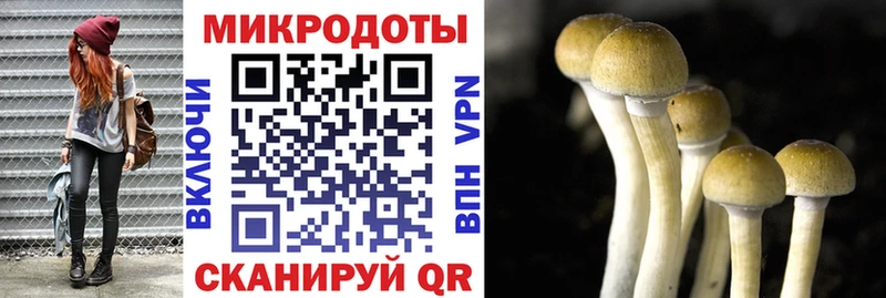 Псилоцибиновые грибы мухоморы  закладка  Короча 